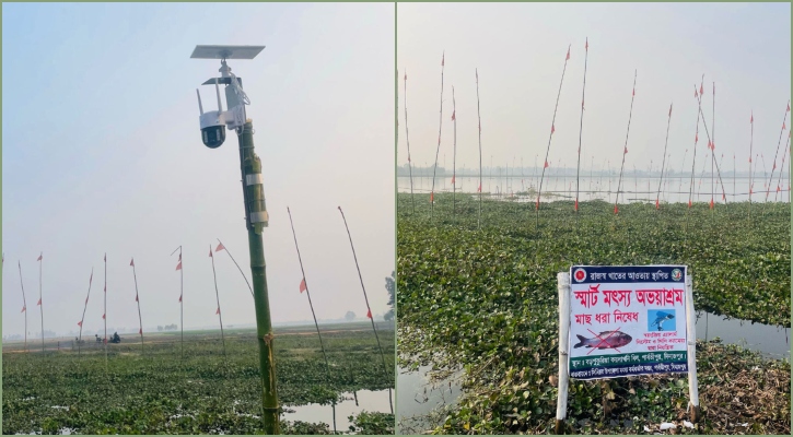 কয়লাখনির বিলের মাছ চুরি ঠেকাতে স্মার্ট আইপি ক্যামেরা স্থাপন